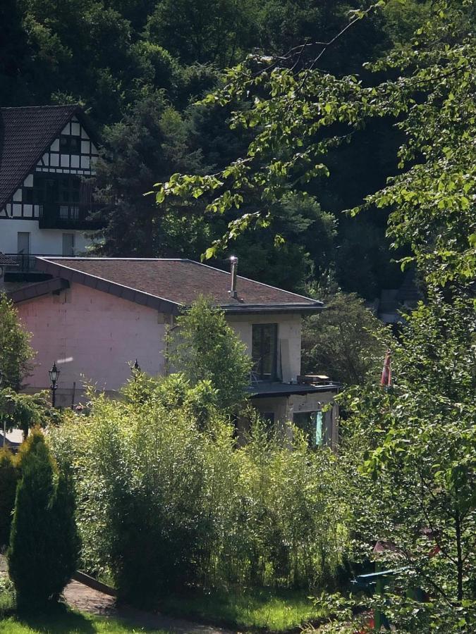 Ferienhaus Waldbaden Im Nationalpark Eifel- Am Bach Schleiden Exteriör bild