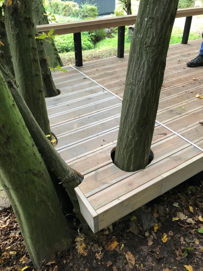 Ferienhaus Waldbaden Im Nationalpark Eifel- Am Bach Schleiden Exteriör bild