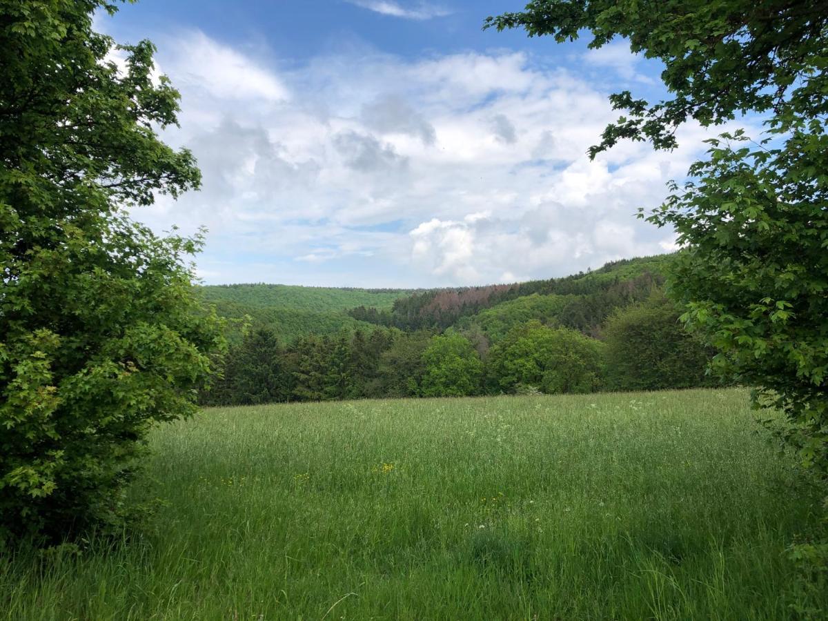 Ferienhaus Waldbaden Im Nationalpark Eifel- Am Bach Schleiden Exteriör bild