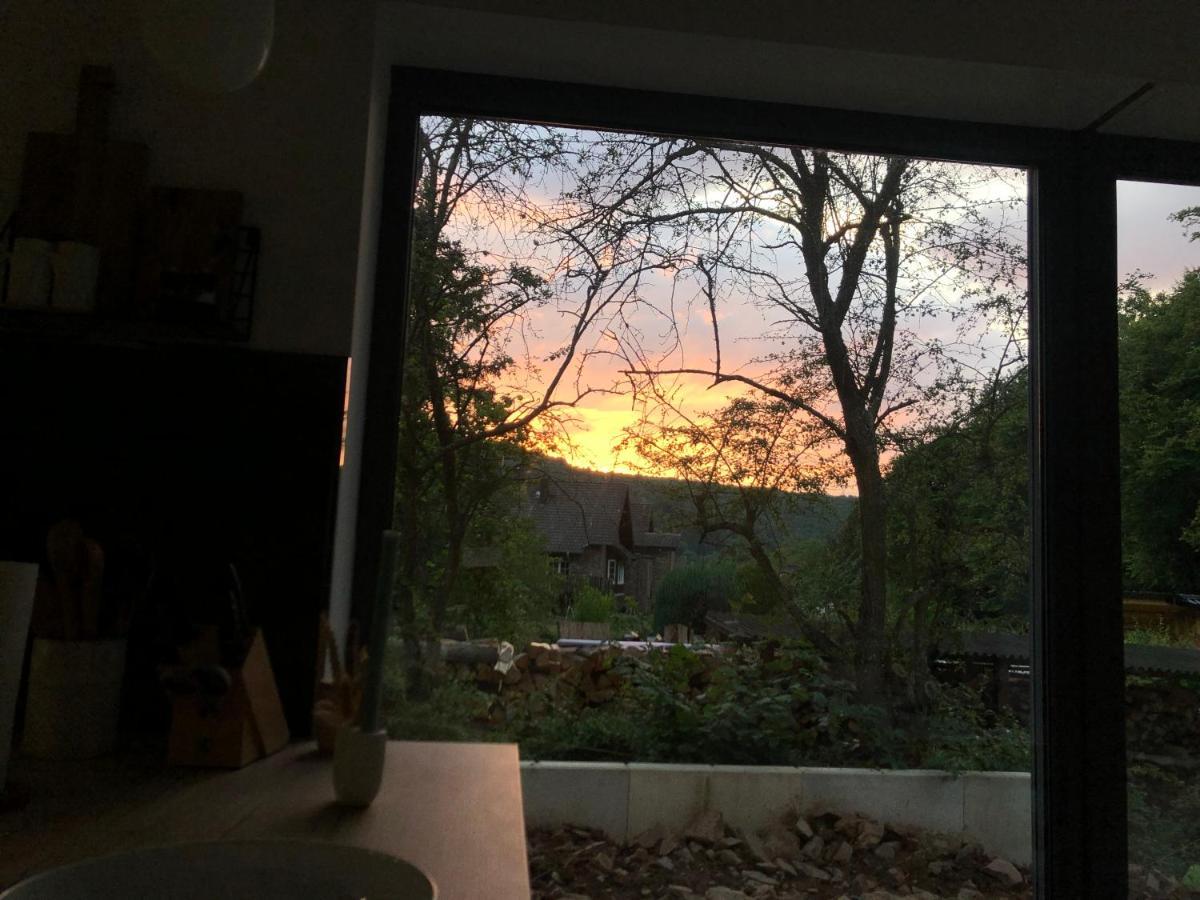 Ferienhaus Waldbaden Im Nationalpark Eifel- Am Bach Schleiden Exteriör bild