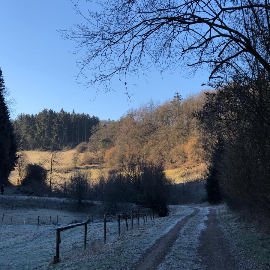 Ferienhaus Waldbaden Im Nationalpark Eifel- Am Bach Schleiden Exteriör bild