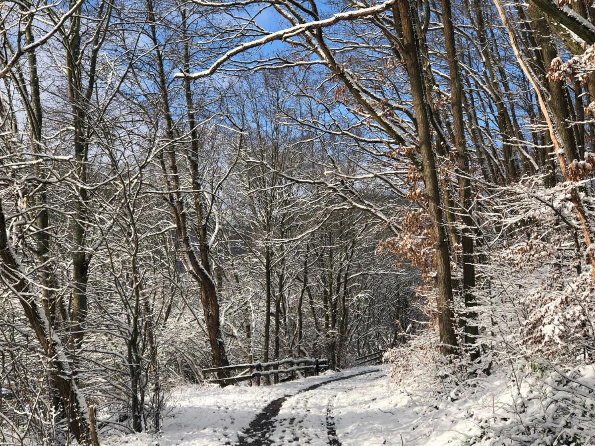 Ferienhaus Waldbaden Im Nationalpark Eifel- Am Bach Schleiden Exteriör bild