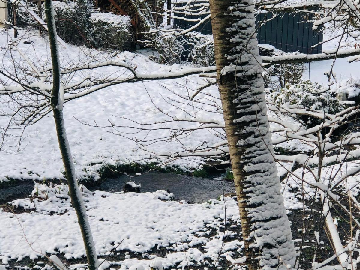 Ferienhaus Waldbaden Im Nationalpark Eifel- Am Bach Schleiden Exteriör bild