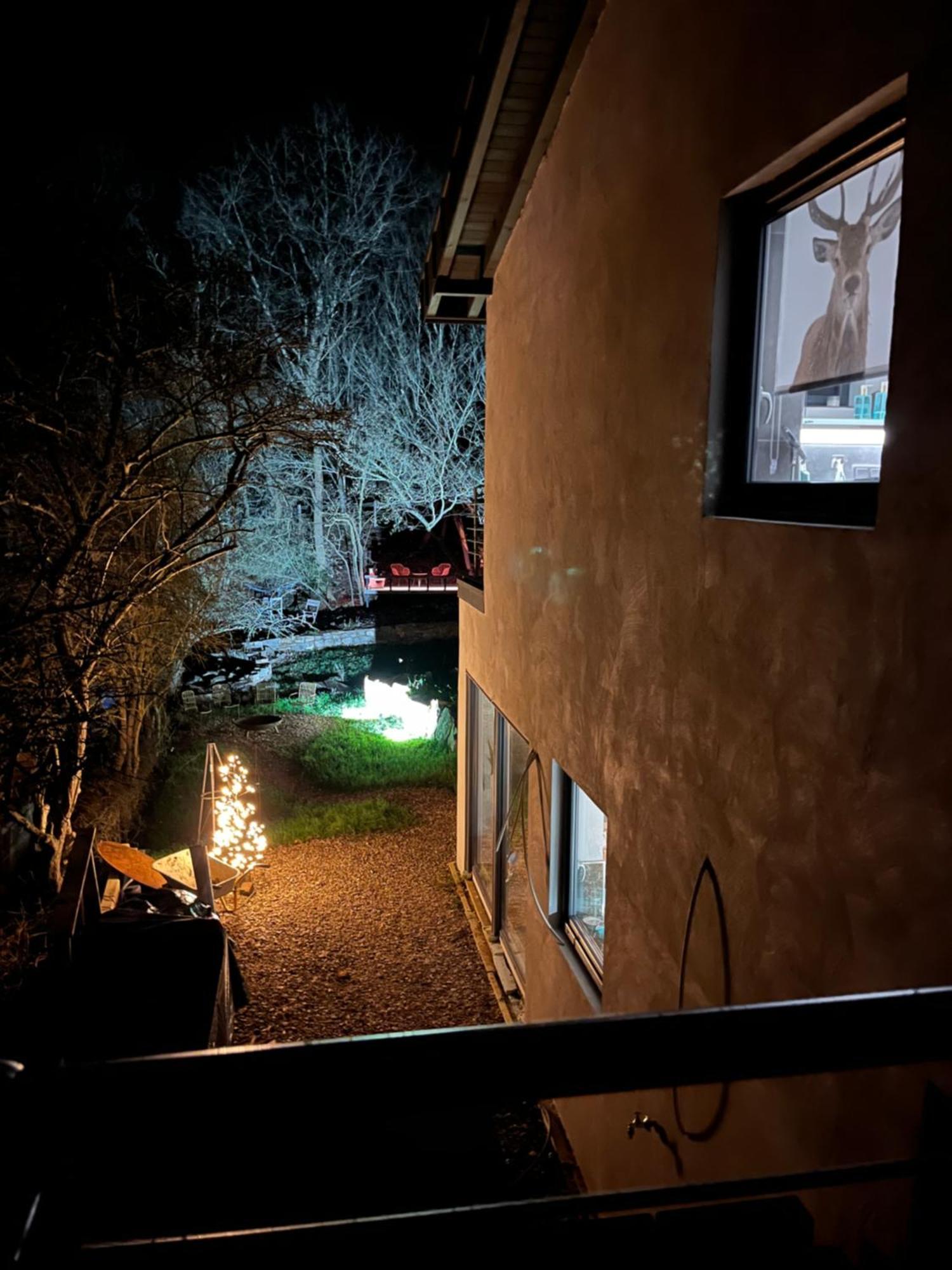 Ferienhaus Waldbaden Im Nationalpark Eifel- Am Bach Schleiden Exteriör bild